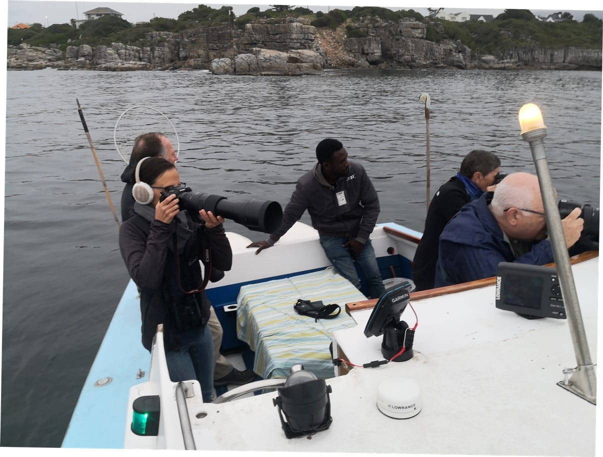 Coastal Birding trip 25 mile