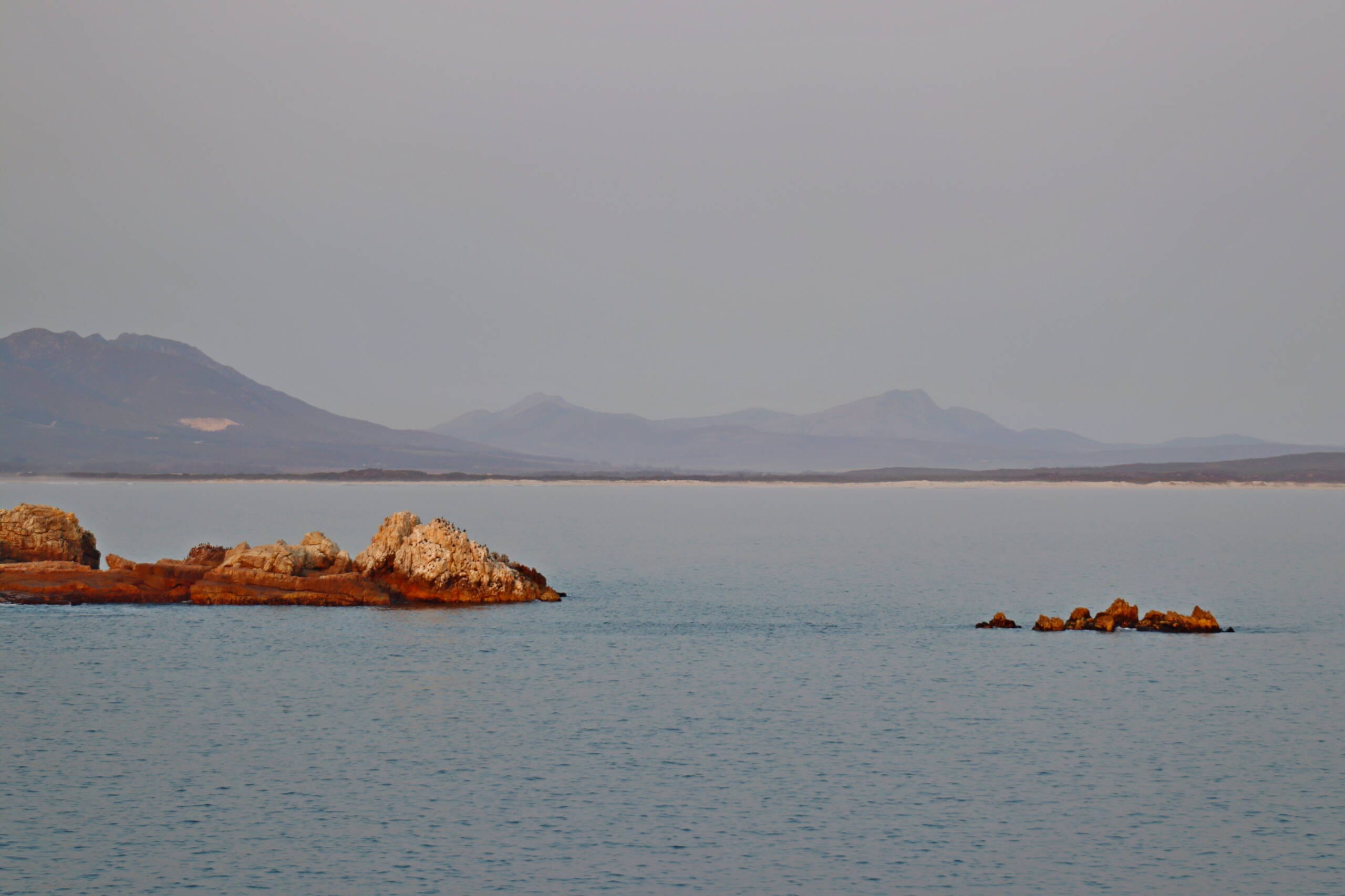 Hermanus Bay Cruise - Image 4