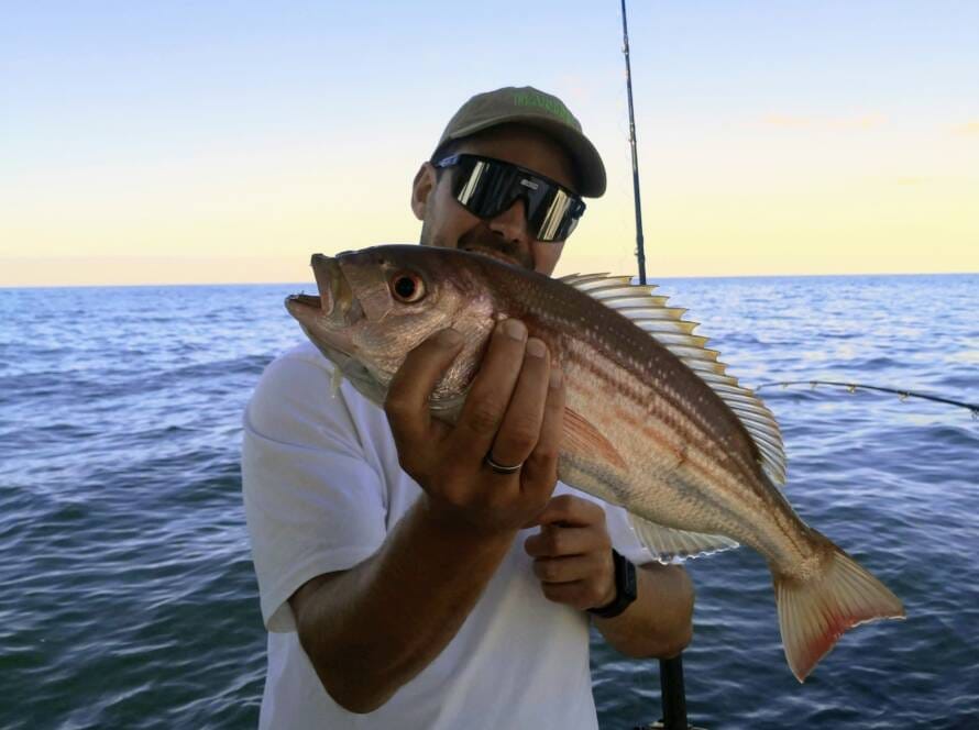 Nice silver fish book fishing mzanzi hermanus