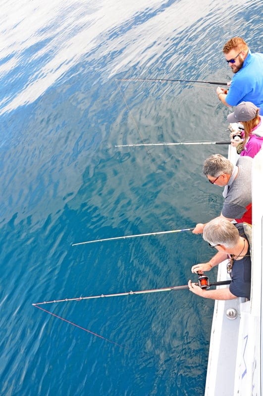 Hermanus Reef Fishing Tour - Image 4